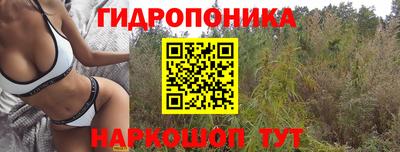 стаф Краснокаменск