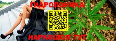 mdpv Краснознаменск