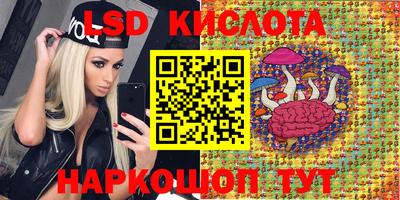 mdpv Краснознаменск