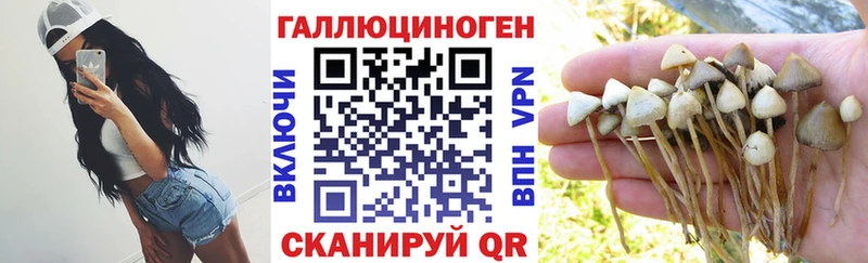 гидра ONION  Сосновоборск  shop формула  где продают   Псилоцибиновые грибы мухоморы 