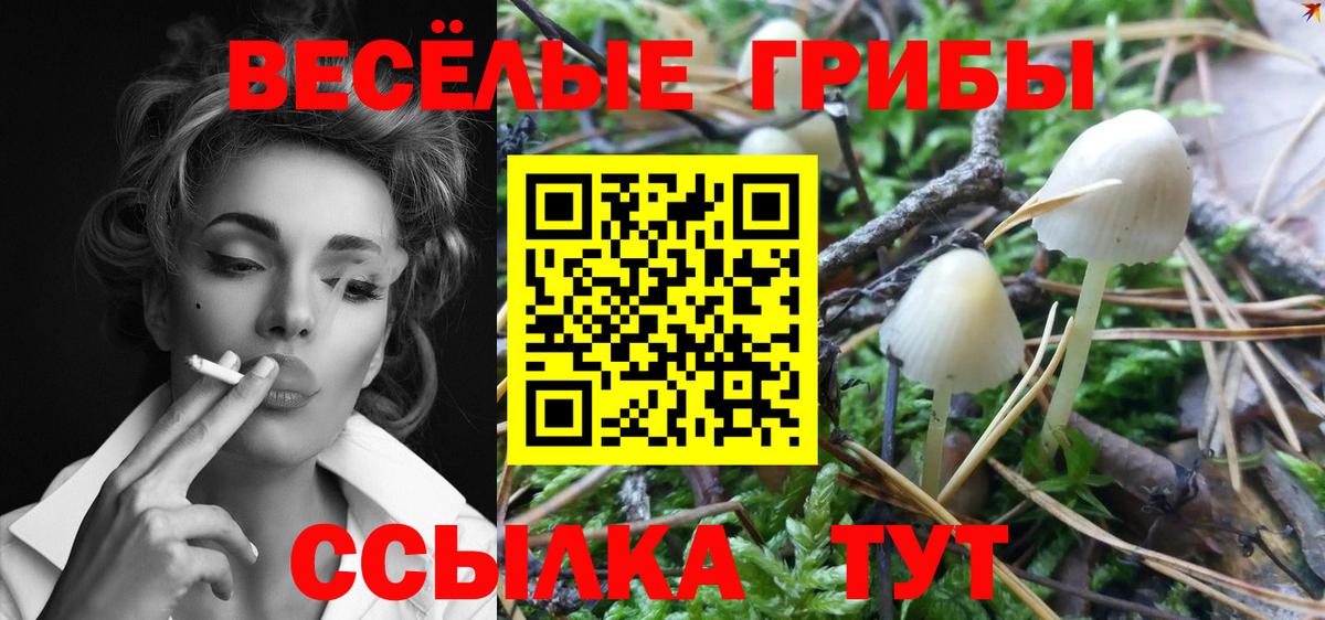 Галлюциногенные грибы Psilocybe  Вход с VPN  Сосновоборск 