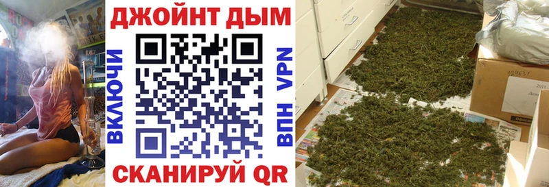 где можно купить Сосновоборск Бошки Шишки индика